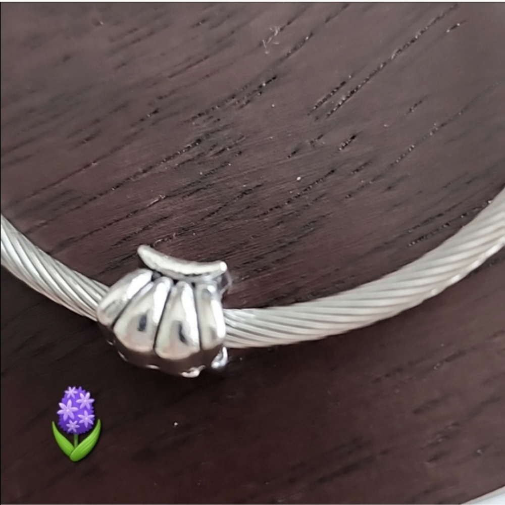 Shell  Charm for European Style Bracelets Fits Pandora Systems and